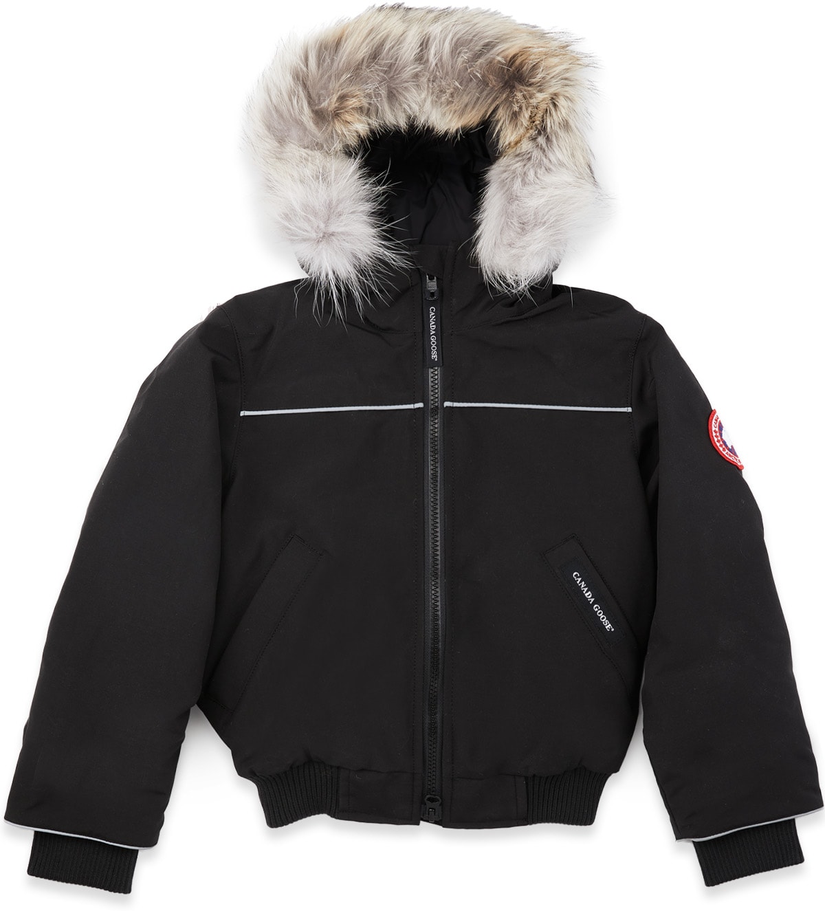 grizzly bomber canada goose