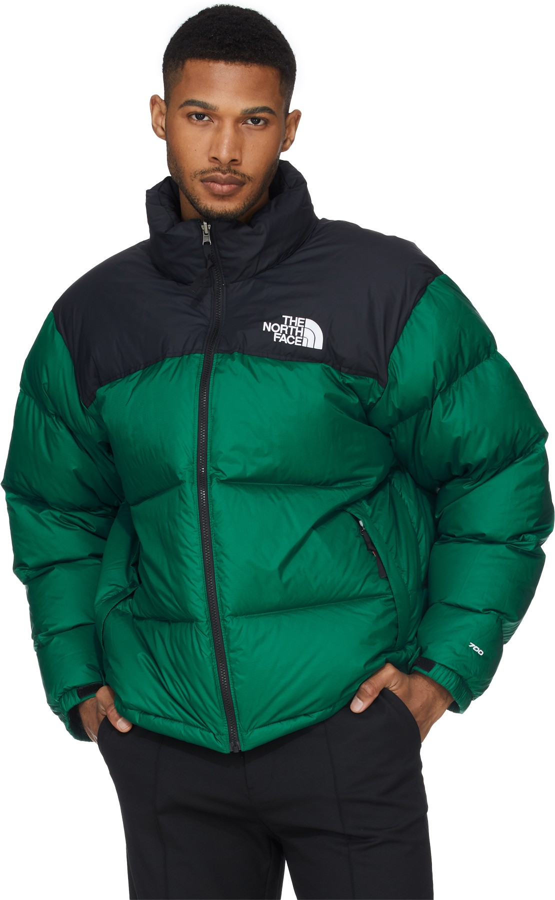 the north face manteau vert