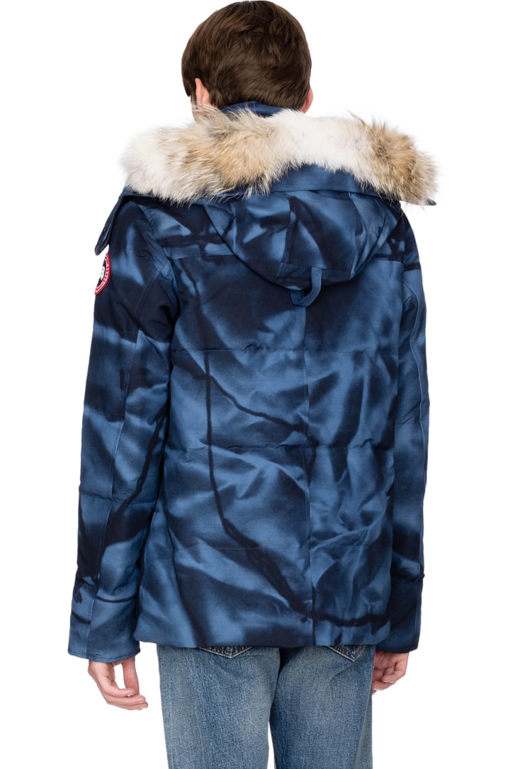 abstract blue camo canada goose