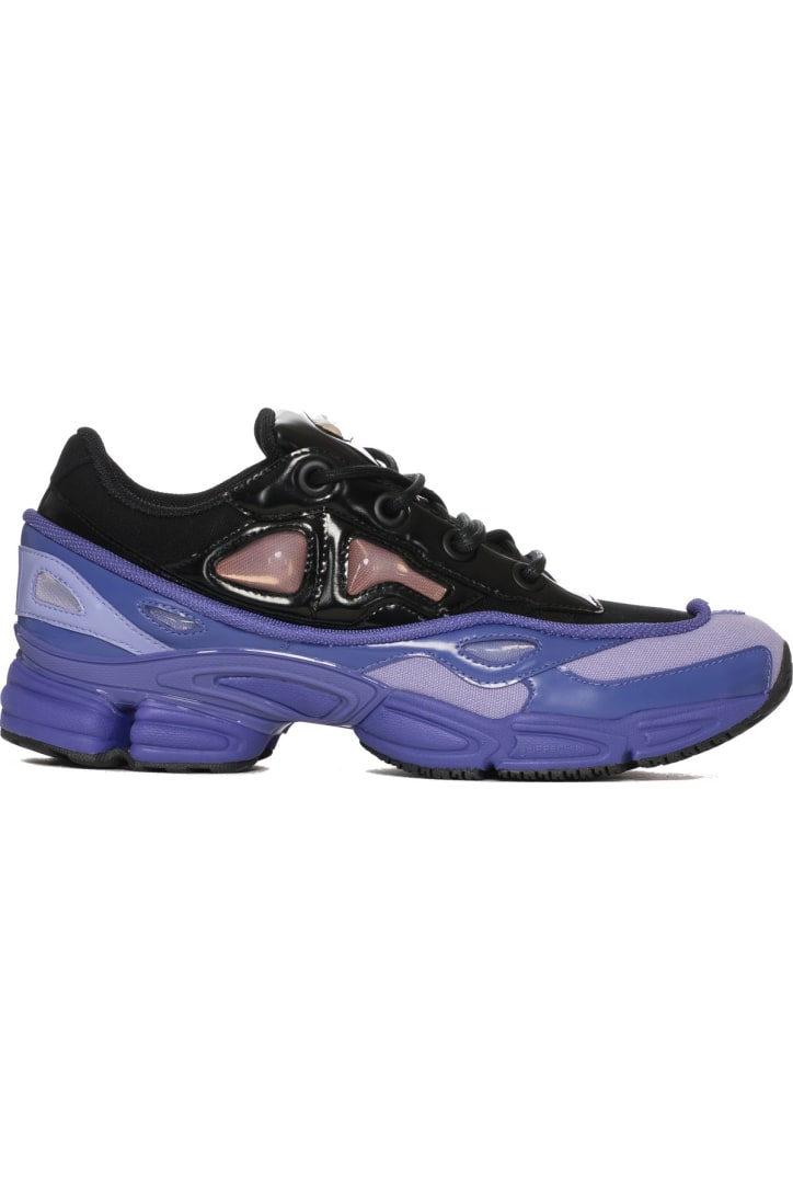 purple raf simons