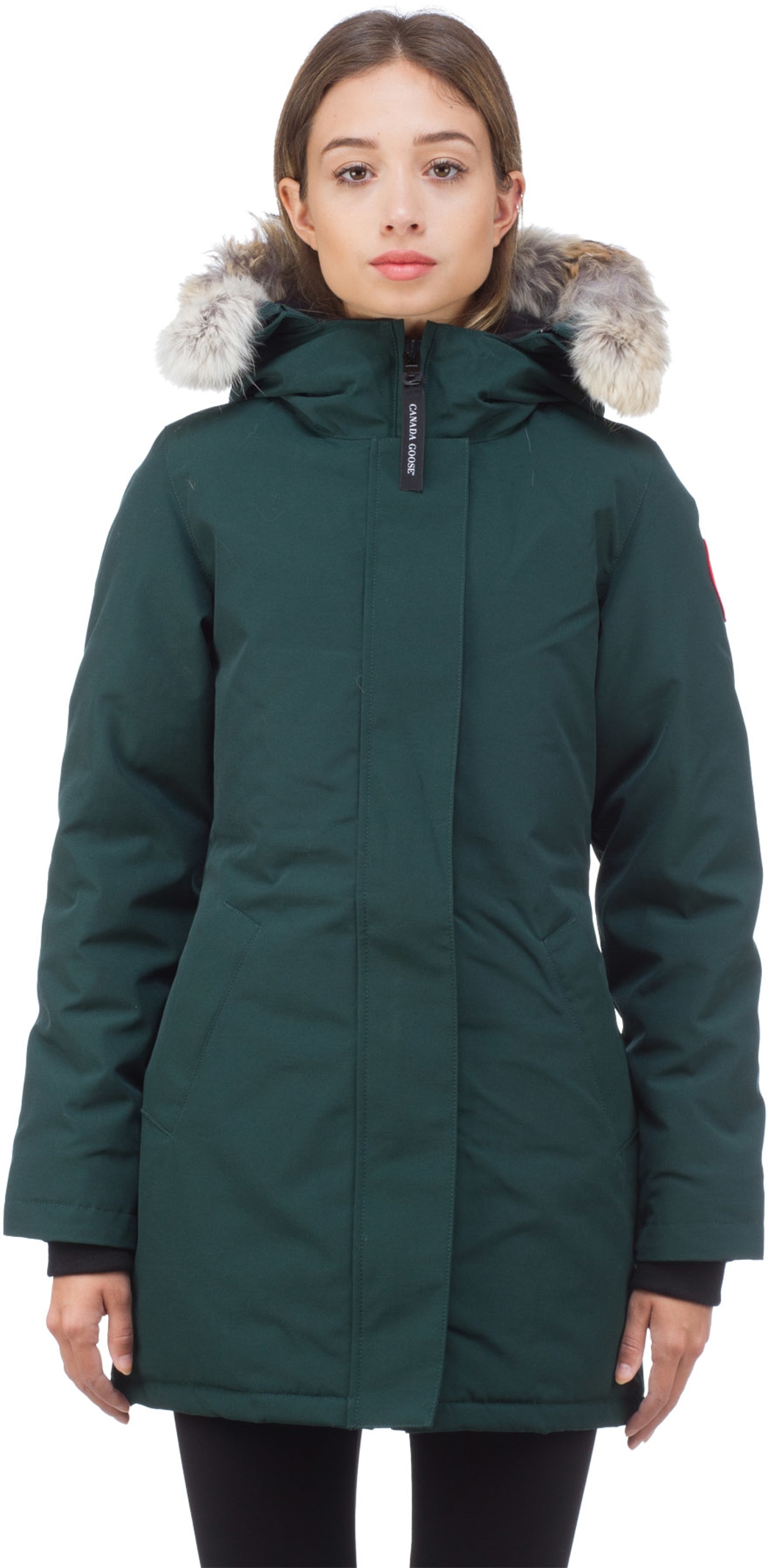 canada goose algonquin green