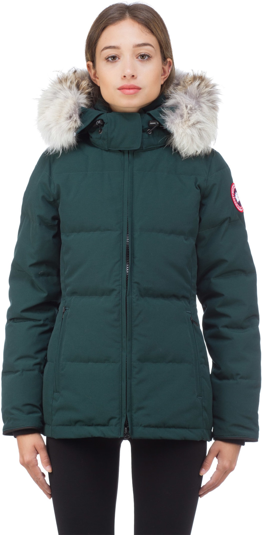 canada goose algonquin green