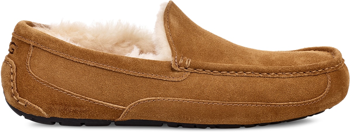 UGG: Brown Ascot - 1