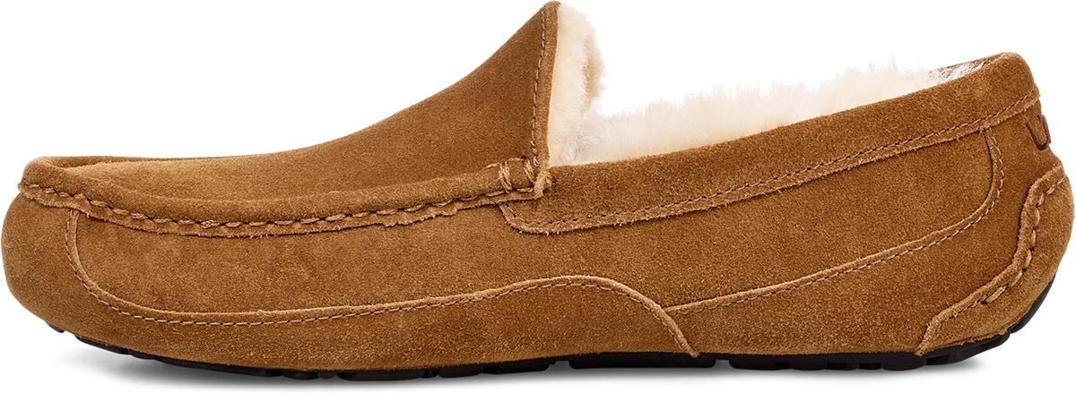 UGG: Brown Ascot - 2