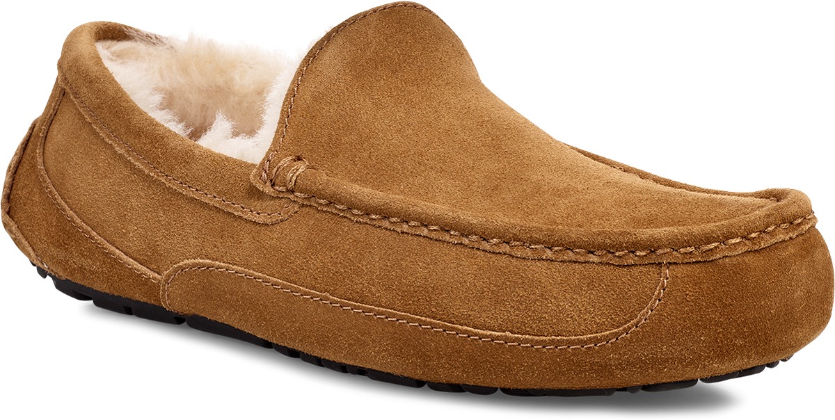 UGG: Brown Ascot - 3