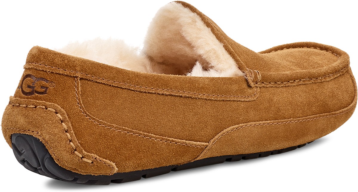 UGG: Brown Ascot - 4