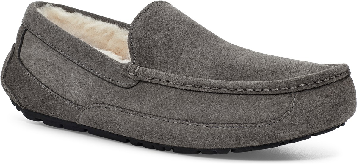 UGG: Grey Ascot - 3