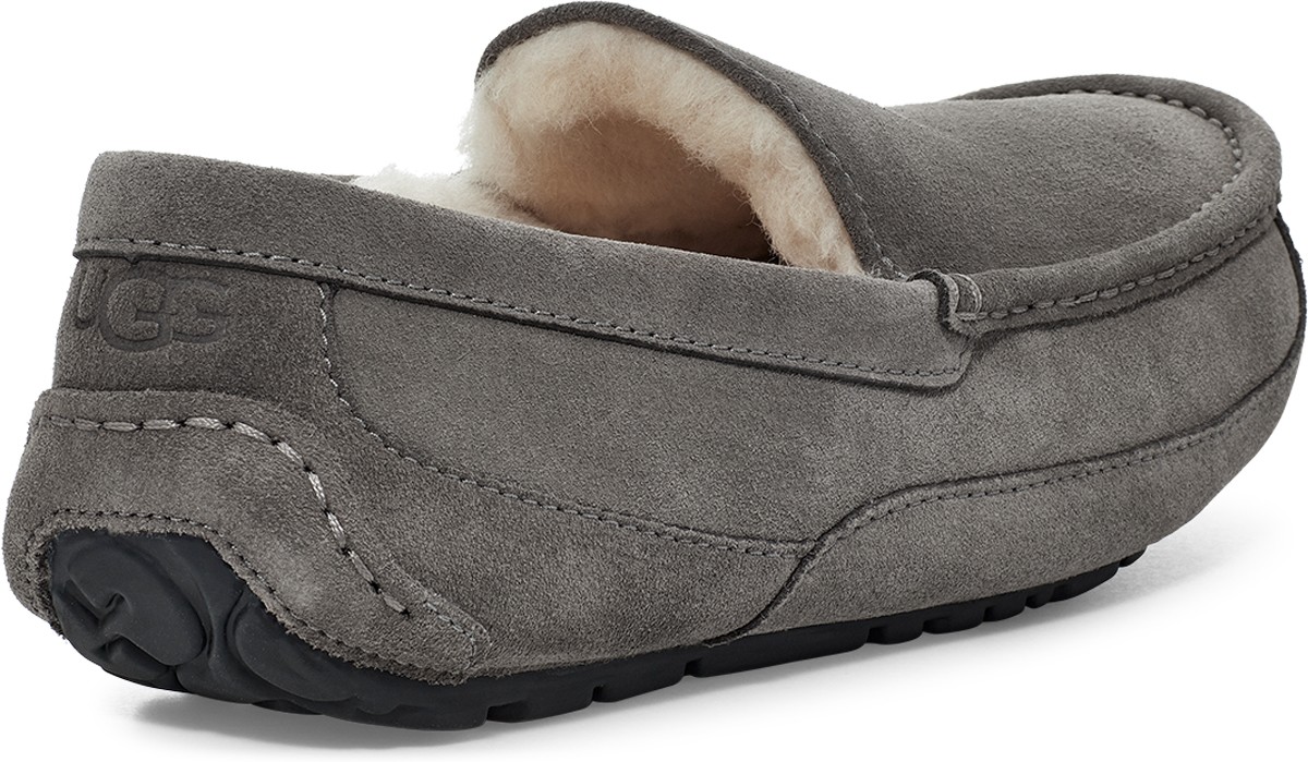 UGG: Grey Ascot - 4