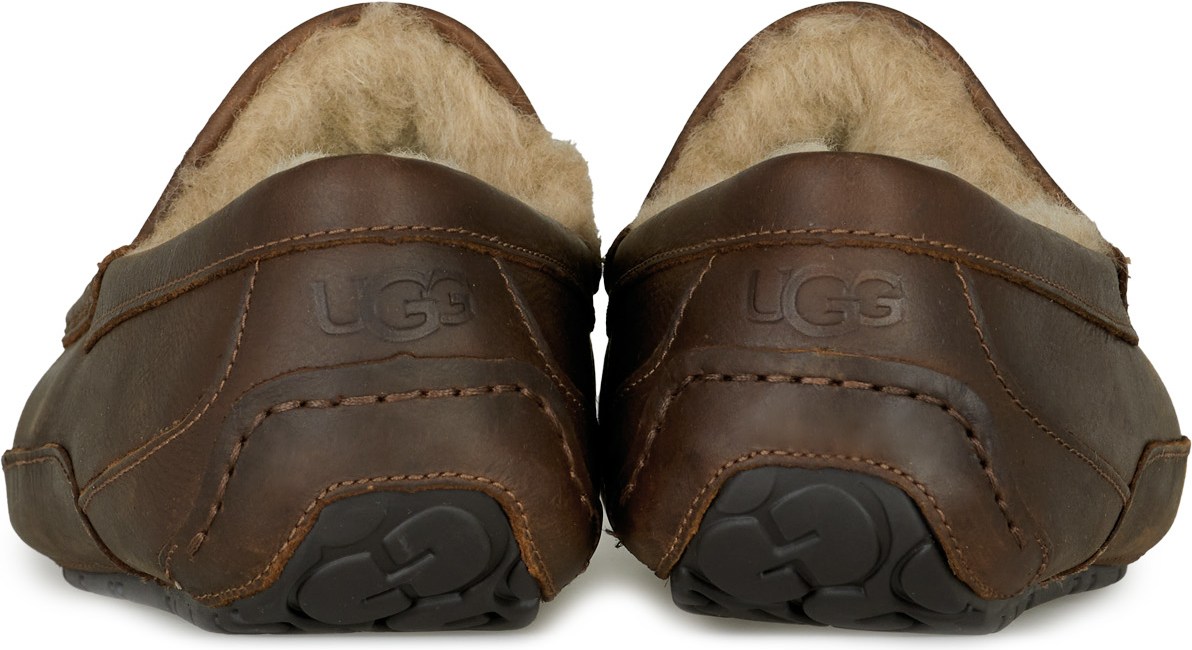 UGG: Brun Ascot Cuir Mate Brun - 5