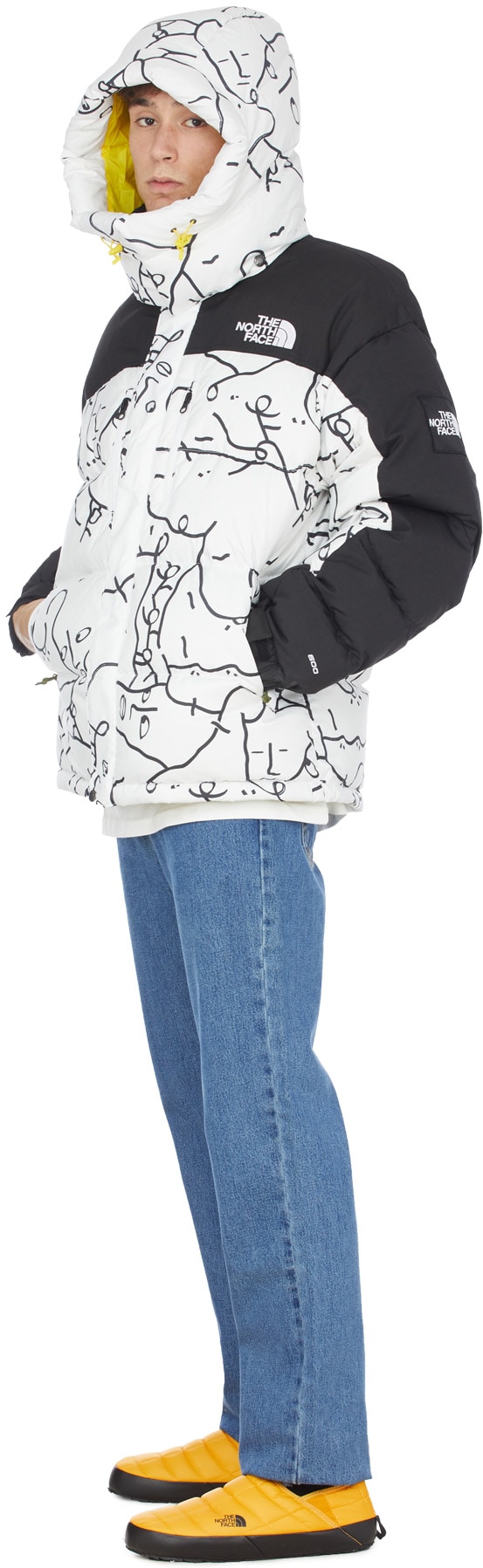 The North Face: Multicolor Black Box Himalayan Parka - 4