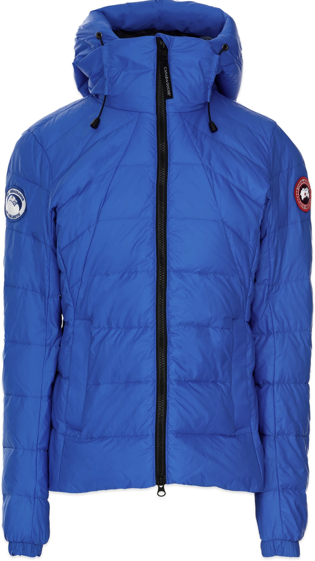 Canada Goose: Bleu Manteau à Capuche PBI Abbott Bleu - 1