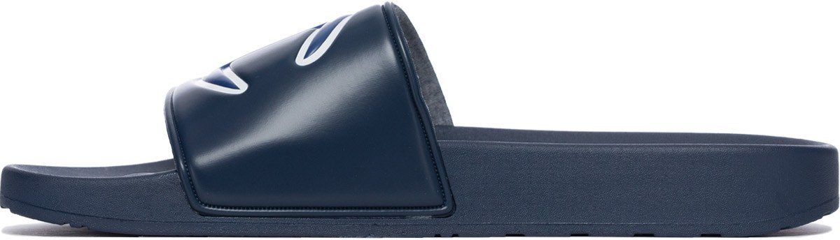 Champion: Blue IPO Slide - 2