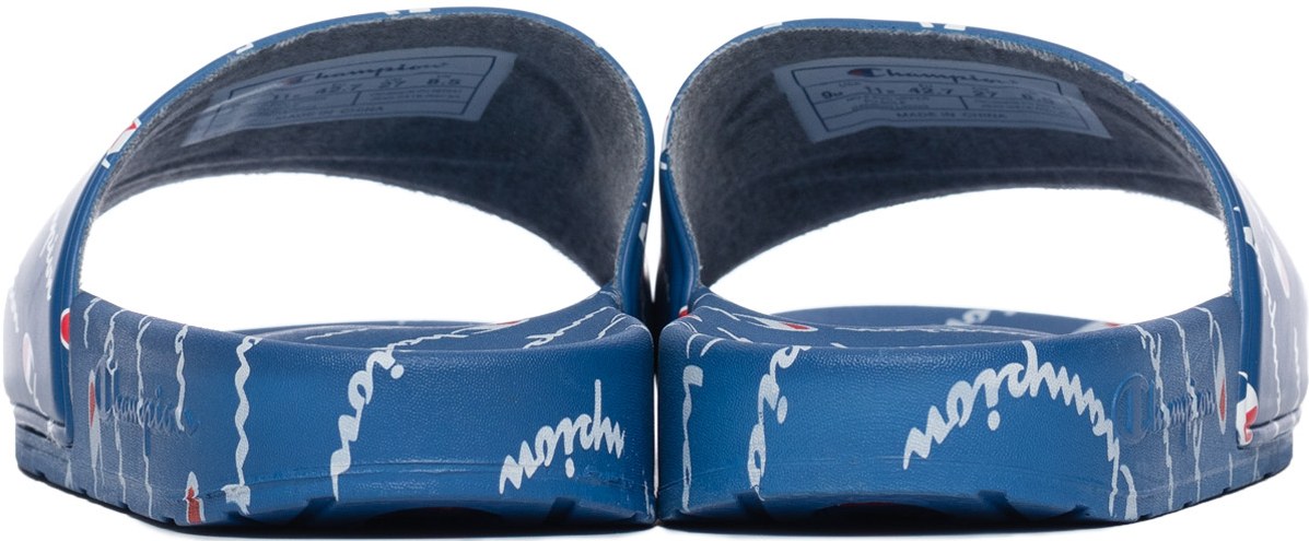 Champion: Blue IPO Repeat Slide - 5