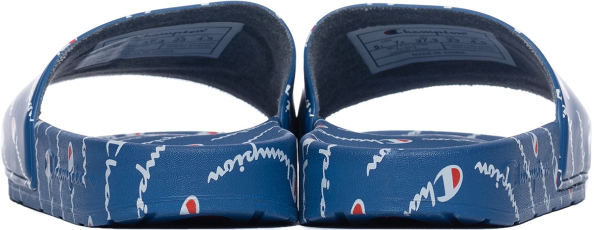 Champion: Blue IPO Repeat Slide - 5
