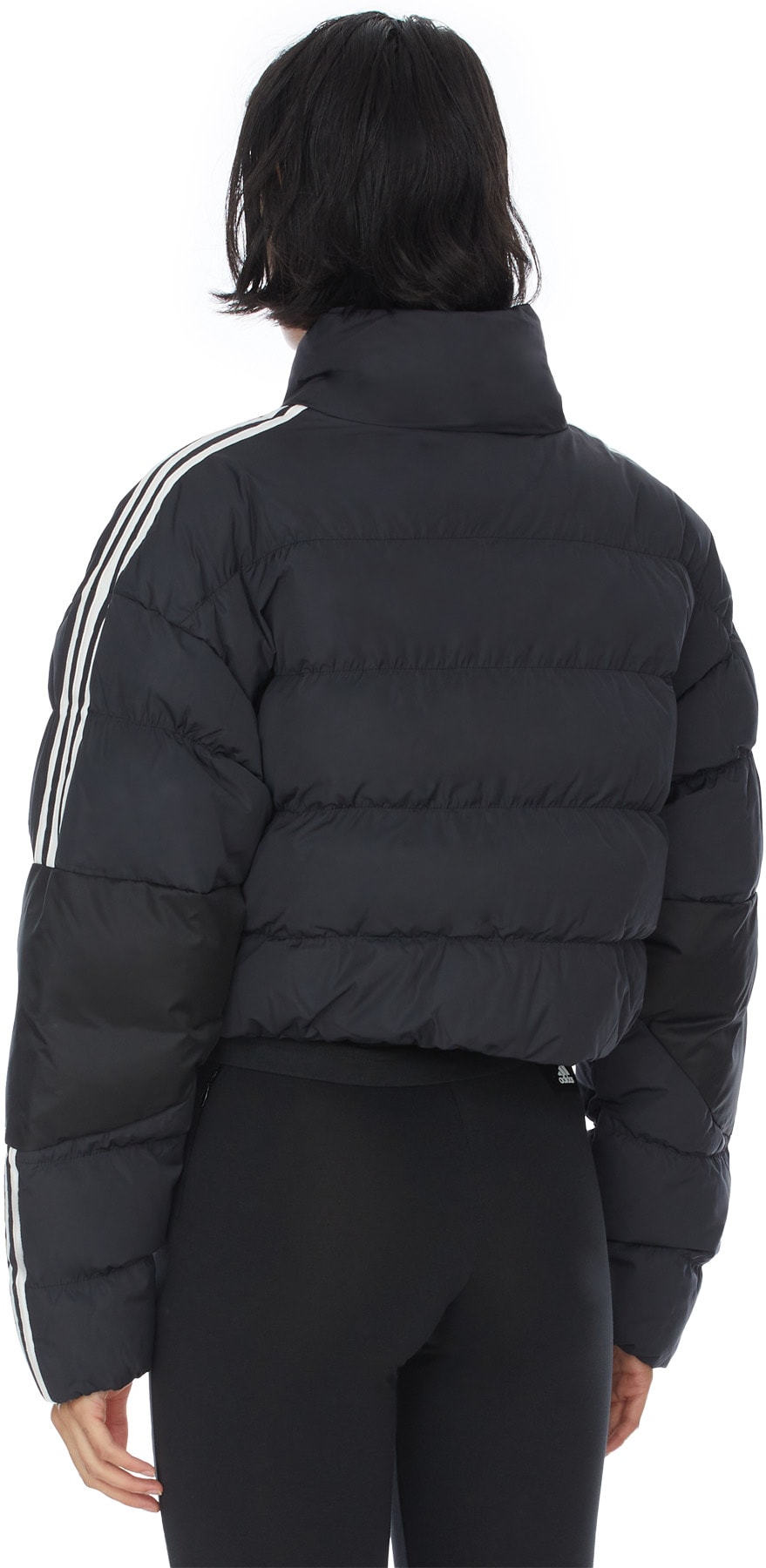 adidas Originals: Noir Manteau Court en Duvet Synthétique Noir - 3